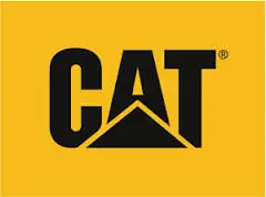 Cat Footwear Promo Codes