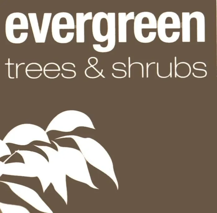 Evergreen Direct Coupons