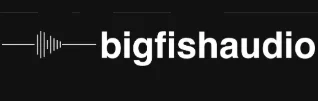 Big Fishdio Coupons