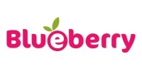 Blueberry Diapers Coupons