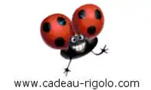 Cadeau rigolo Coupons