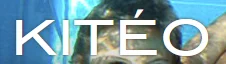 Kiteo Coupons