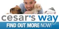 Cesarsway.com Coupons