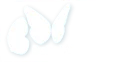 BohoWrapsody Coupons