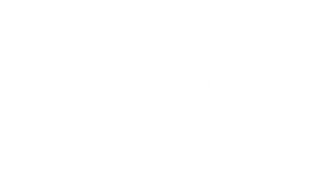 4Ever Mints Promo Codes