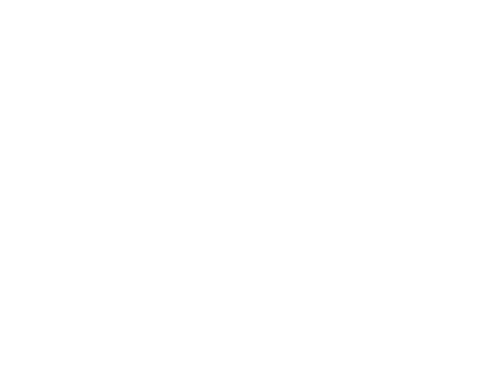 555East Promo Codes