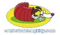 Affordable Agility Coupons