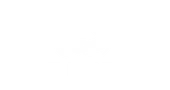 Agilite Promo Codes