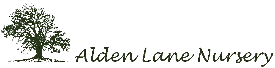 Alden Lane Promo Codes