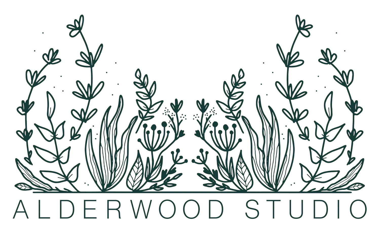 Alderwood Studio Coupons