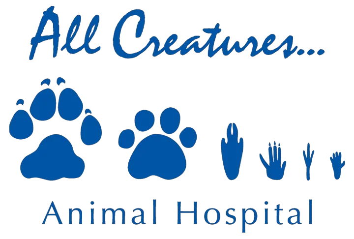 All Creatures Animal Hospital Coupons