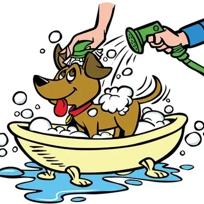 All Paws Pet Wash Coupons