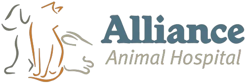 Alliance Animal Hospital Coupons