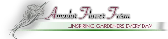 Amador Flower Farm Promo Codes