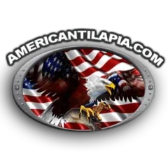 American Tilapia Promo Codes