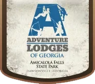 Amicalola Falls Lodge Coupons