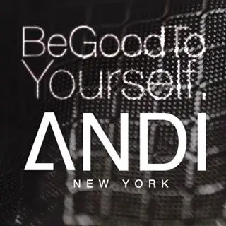 Andi Brand Promo Codes