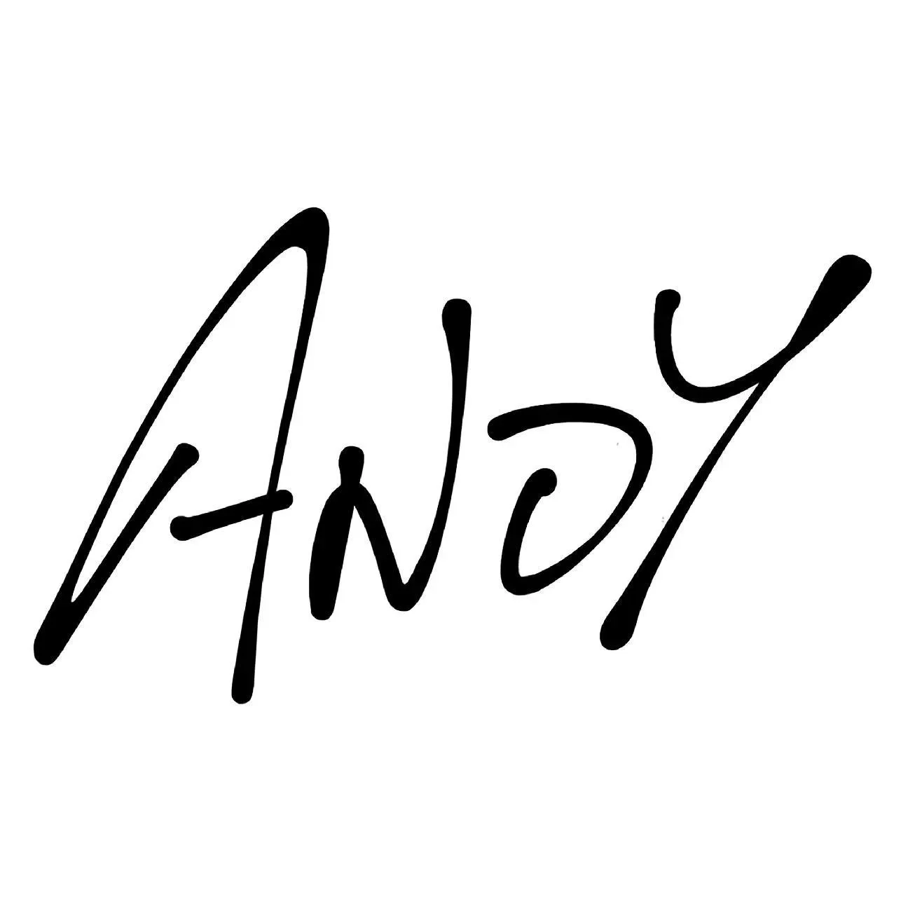 Andy Blank Promo Codes