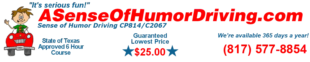 ASenseofHumorDriving Promo Codes