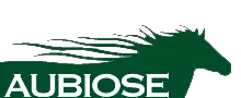 Aubiose Promo Codes