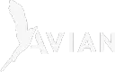 Avian Guitar Promo Codes