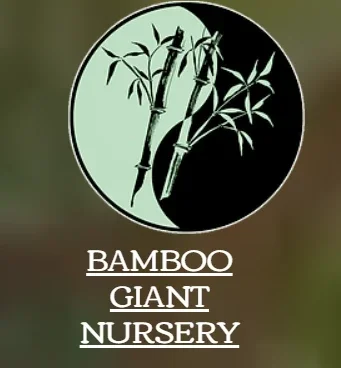 Bamboo Giant Promo Codes