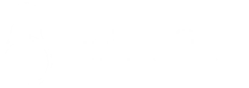 Banjolit Promo Codes