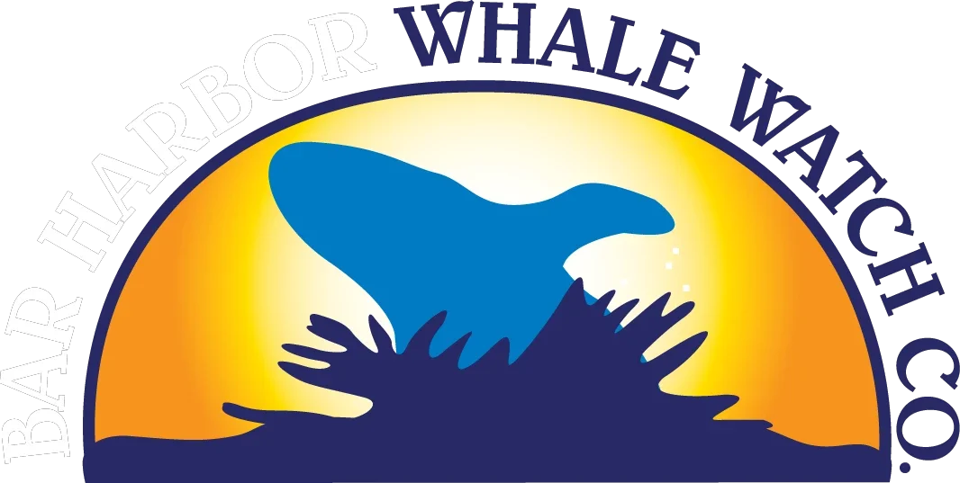 Barharborwhales Promo Codes