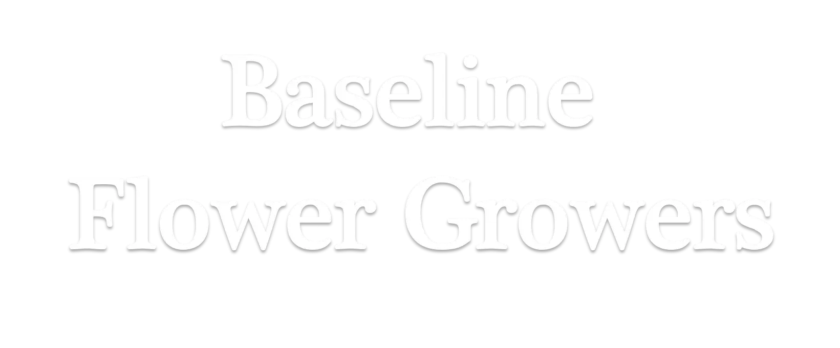 Baseline Flowers Promo Codes