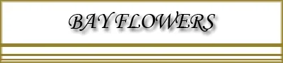 Bay Flowers Promo Codes