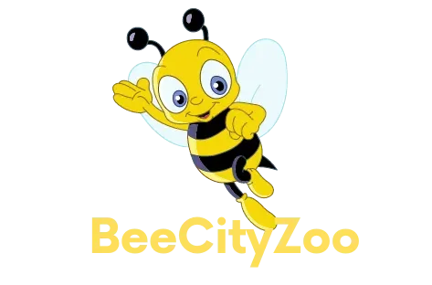 Bee City Zoo Coupons