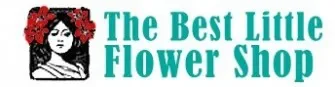 BEST LITTLE FLOWER SHOP Promo Codes