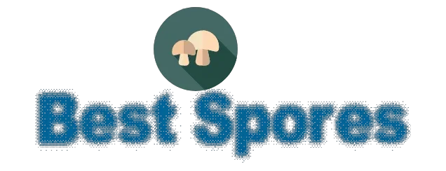 Best Spores Promo Codes