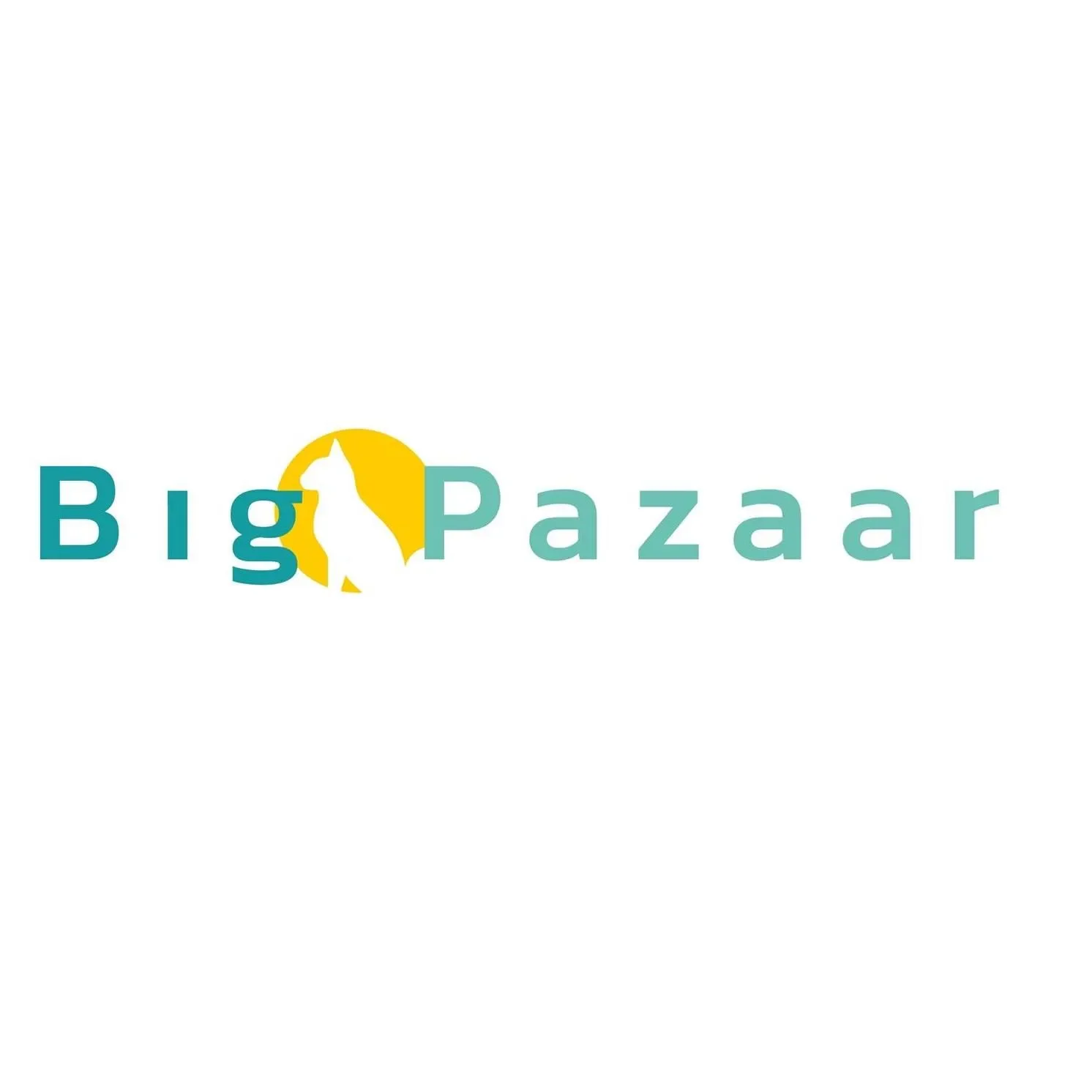 Big Pazaar Promo Codes