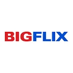 BIGFlix Coupons