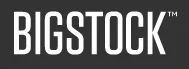 BigStock Promo Codes