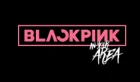 Blackpink Promo Codes