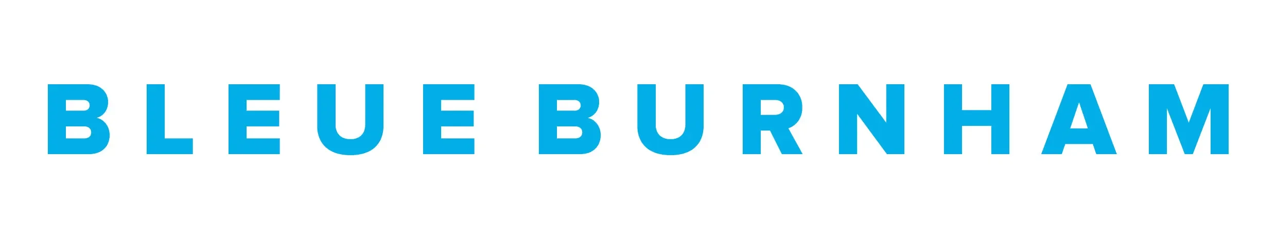 Bleue Burnham Promo Codes