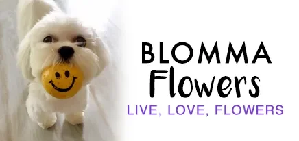 Blomma Flowers Promo Codes