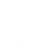 Blossom Coffee Roasters Promo Codes