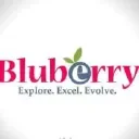 Bluberry Promo Codes