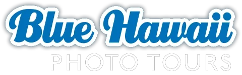 Blue Hawaii Photo Tours Coupons