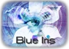 Blue Iris Promo Codes