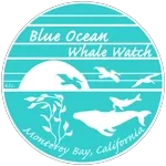 Blue Ocean Whale Watch Promo Codes