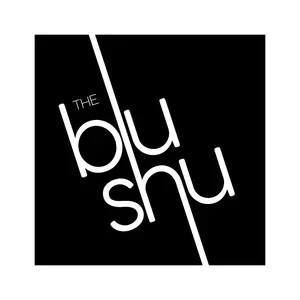 Blue Shoe USA Promo Codes