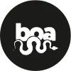 Boa Wheels Promo Codes