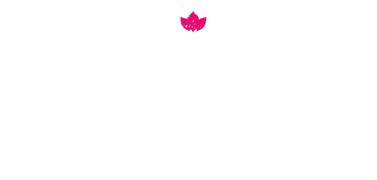 Bomba Tacos Promo Codes