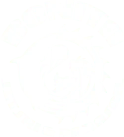 Bonita Jet Ski Promo Codes