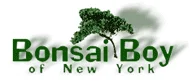 Bonsai Boy Promo Code