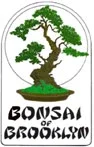 Bonsai of Brooklyn Promo Codes